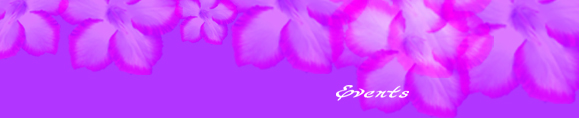 Laila Events